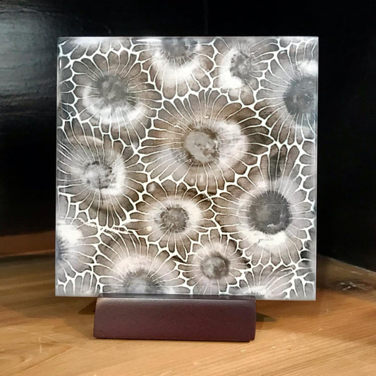 Beautiful Petoskey Stone Ceramic Coaster